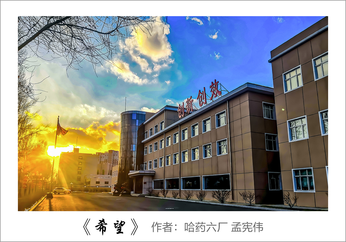 【迎國(guó)慶 展風(fēng)采】我眼中的哈藥——職工攝影大賽作品展示！